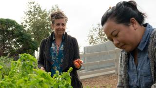 Garden of hope
